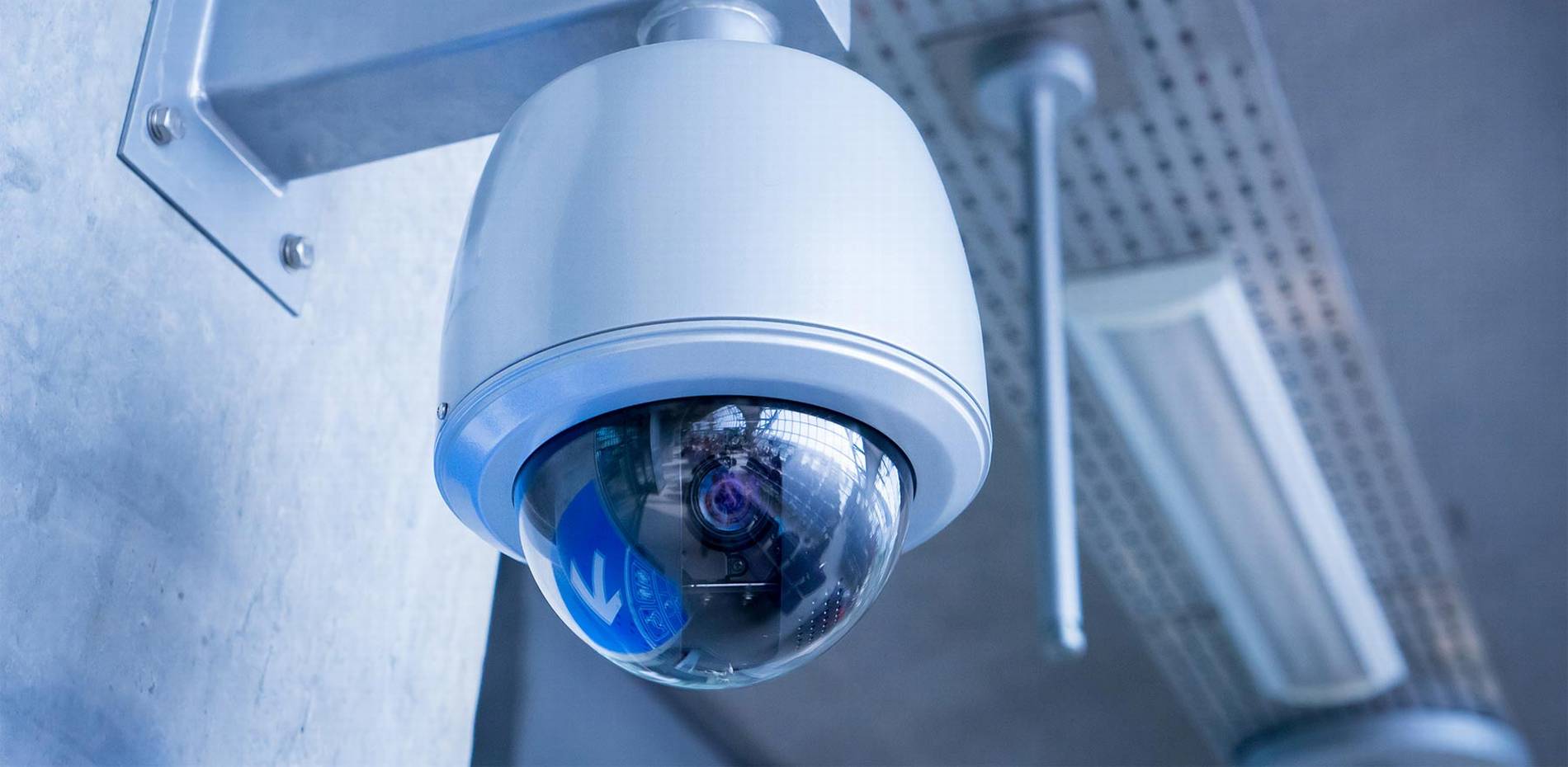 #1 Best Security Camera Company: CAT6 CAT7 CAT8 Network vs Wiring Installer Low Voltage Fiber Optic Orlando